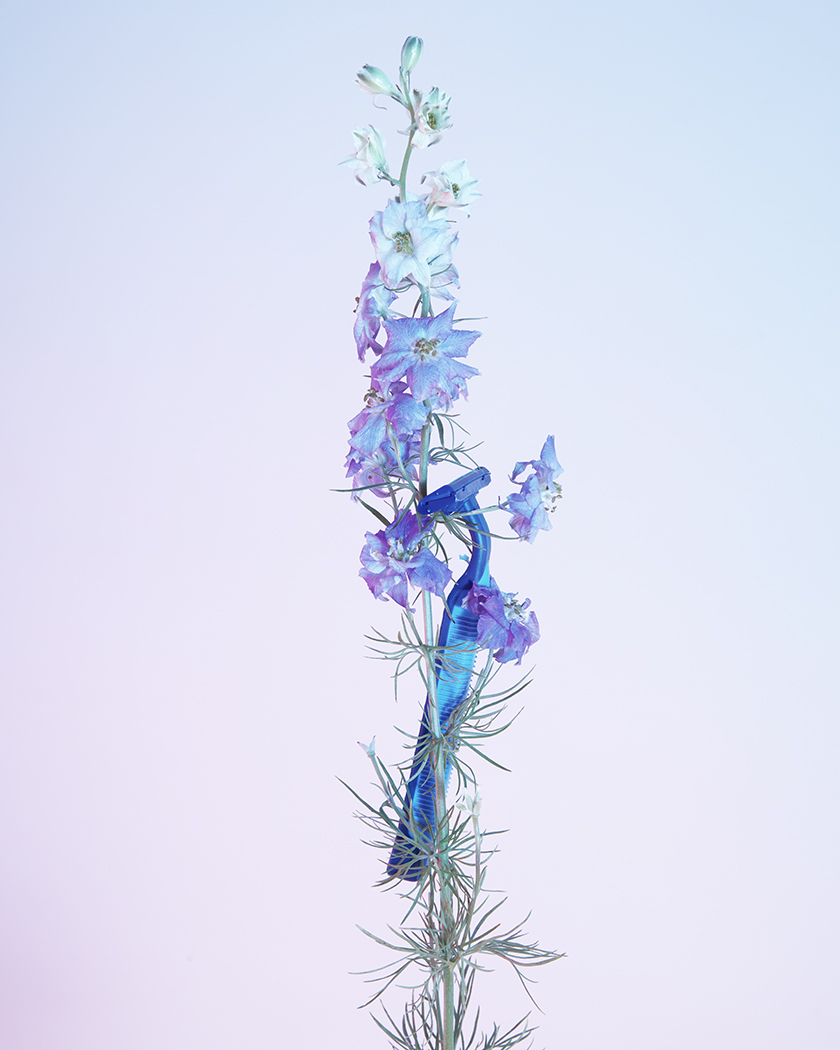 FLORA_21473copy