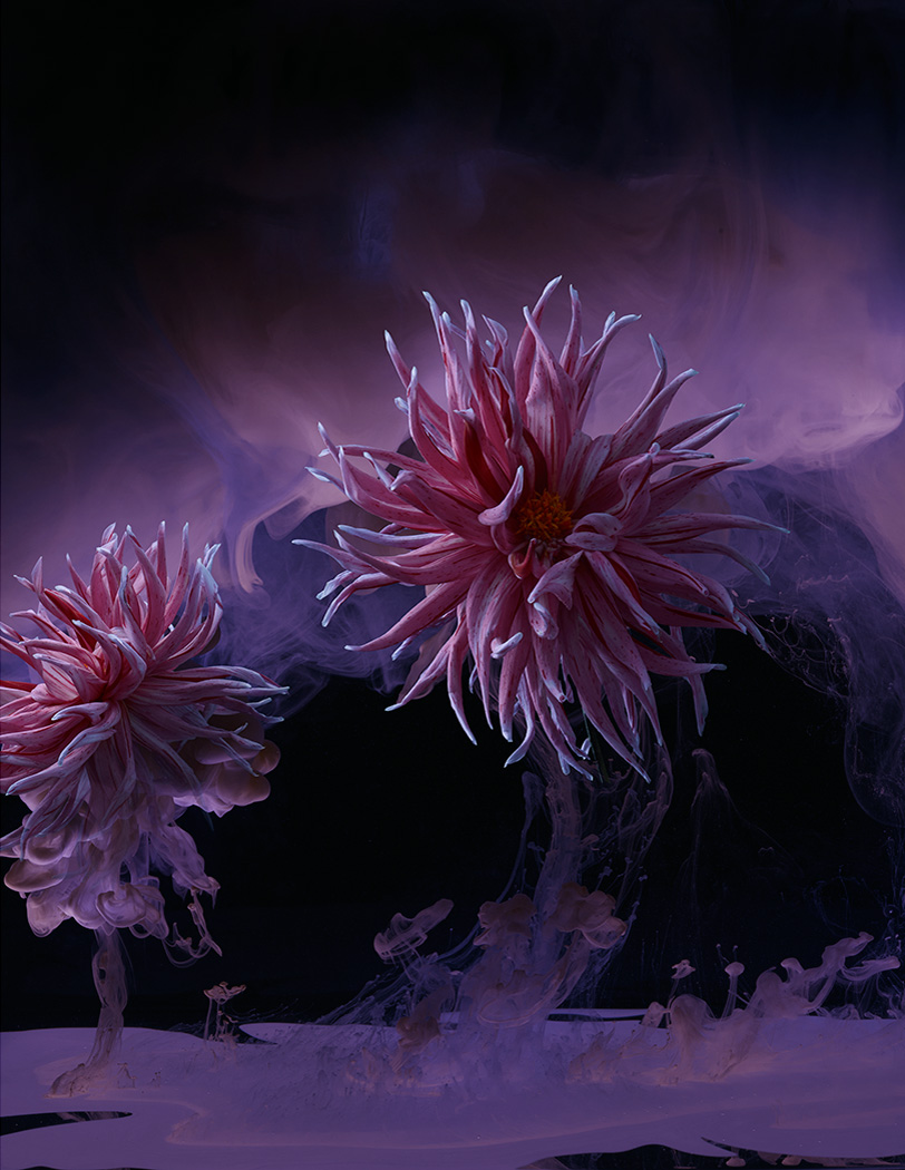 Flora_03