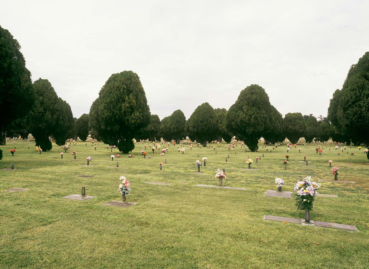 WORK_LANDSCAPE17-DUP.jpg